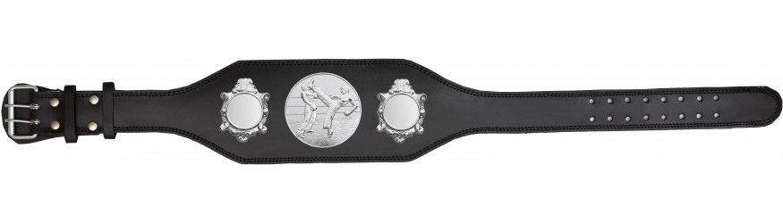 KICKBOXING CHAMPIONSHIP TITLE BELT-BUD003/S/KBOS - 4 COLOURS